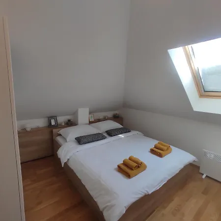 Suncica 즐라티보