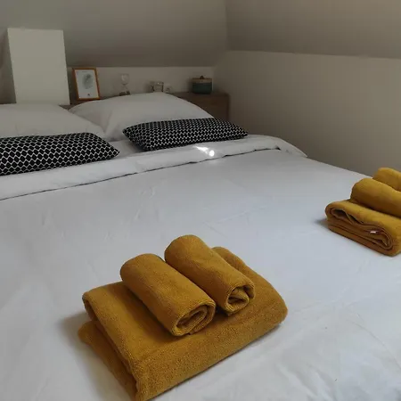 Suncica 즐라티보